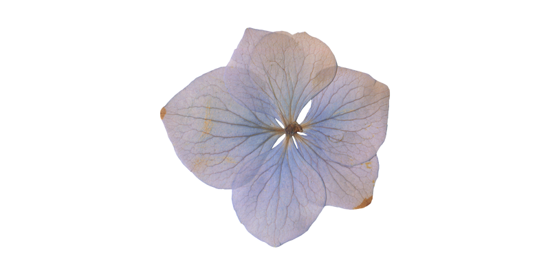 Rédaction web et SEO